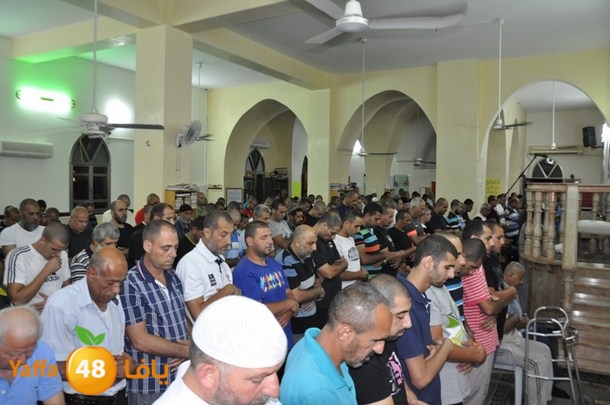 tarawee7 jablaiya (16).JPG